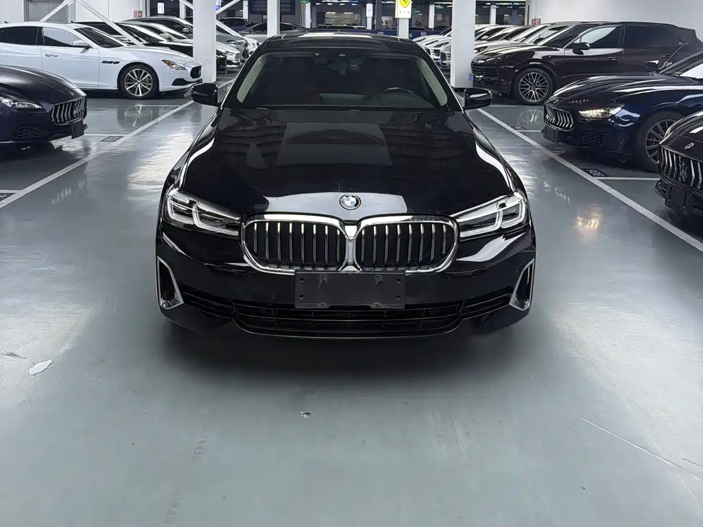 BMW 5 Series — миниатюра 2