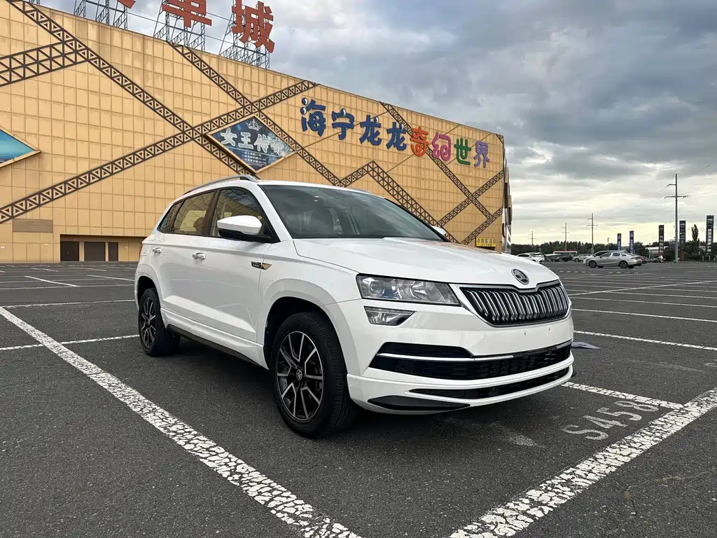 Skoda Karoq — миниатюра 2