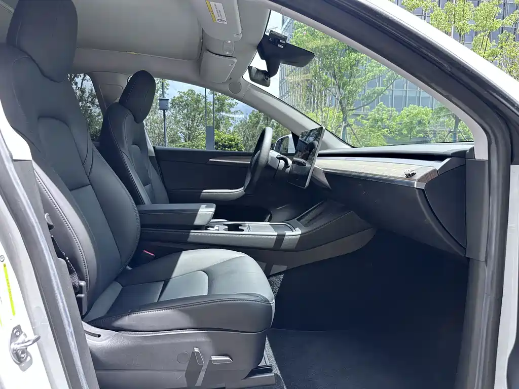 Tesla Model Y — миниатюра 7