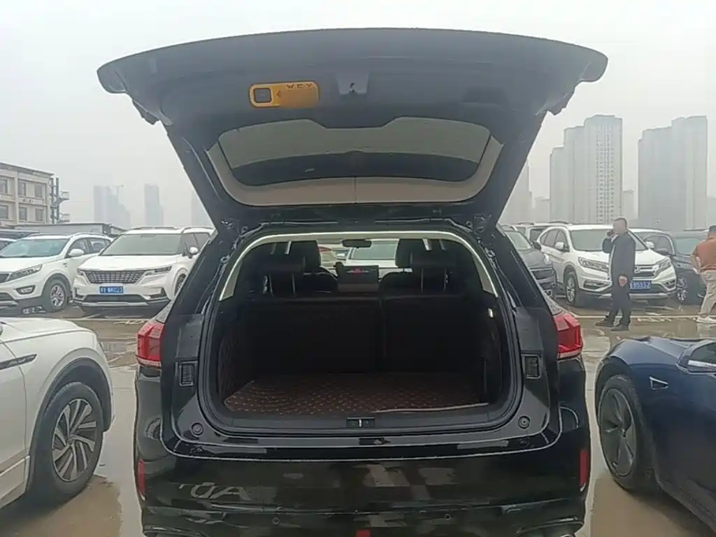 Wey Wey VV6 — миниатюра 19