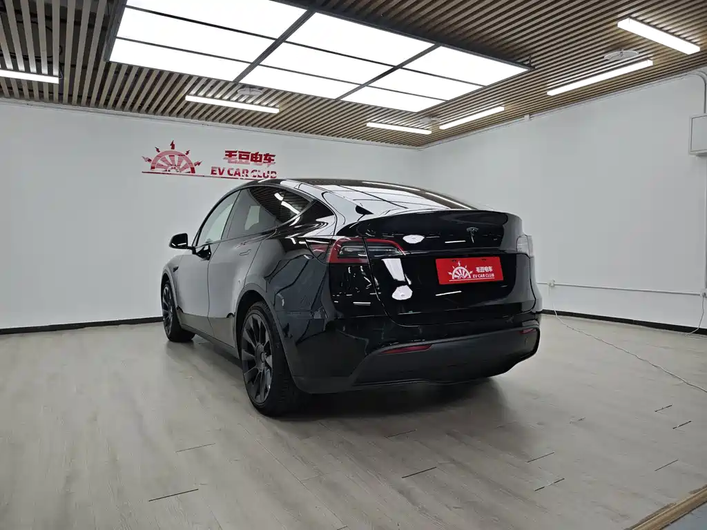 Tesla Model Y — миниатюра 5