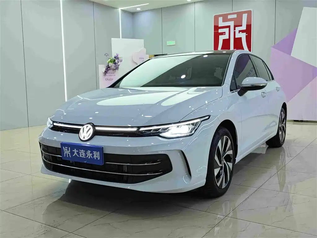 高尔夫 2025款 300TSI Pro 2025