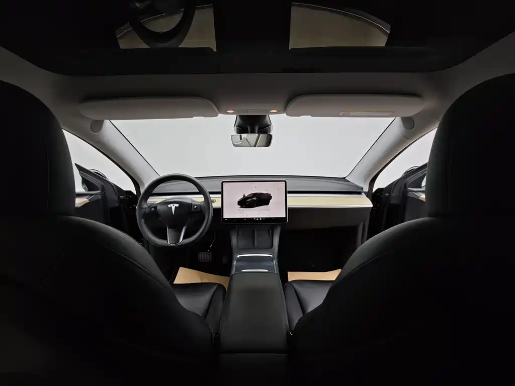 Tesla Model Y — миниатюра 19