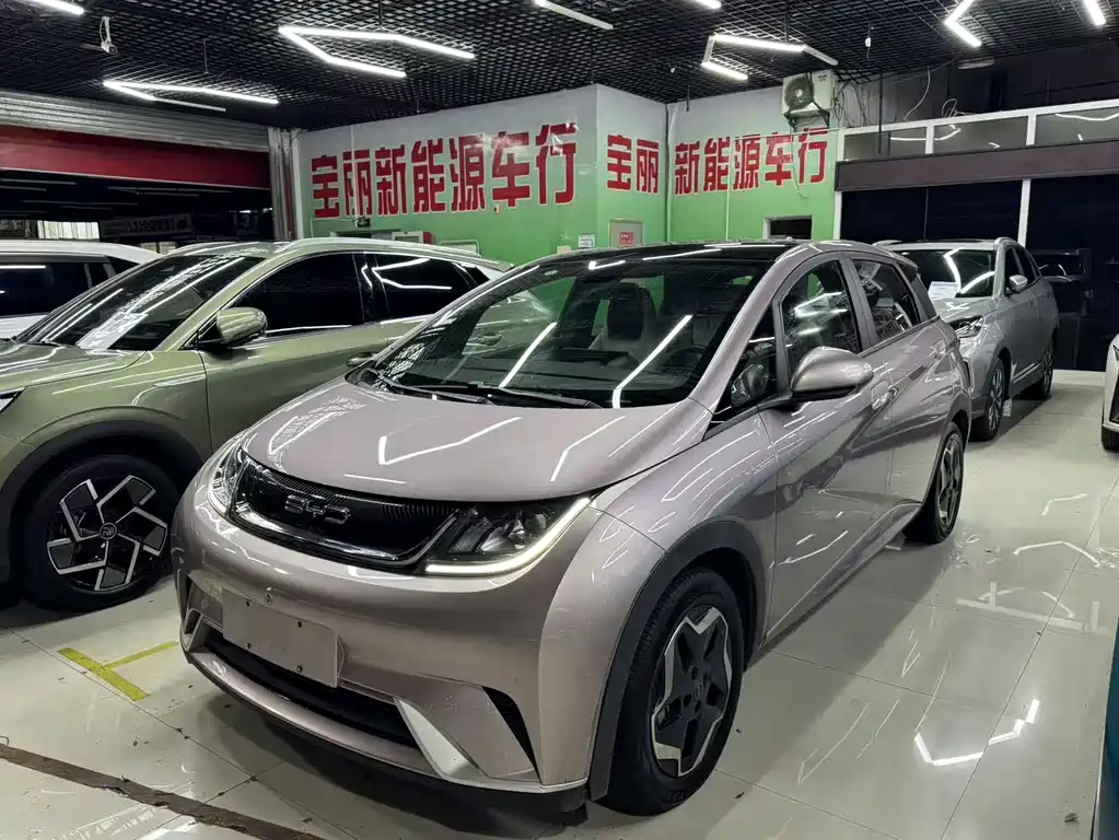BYD Dolphin