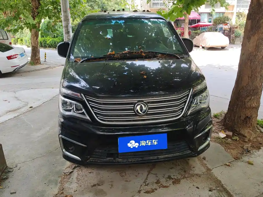 Fengxing Lingzhi — миниатюра 2