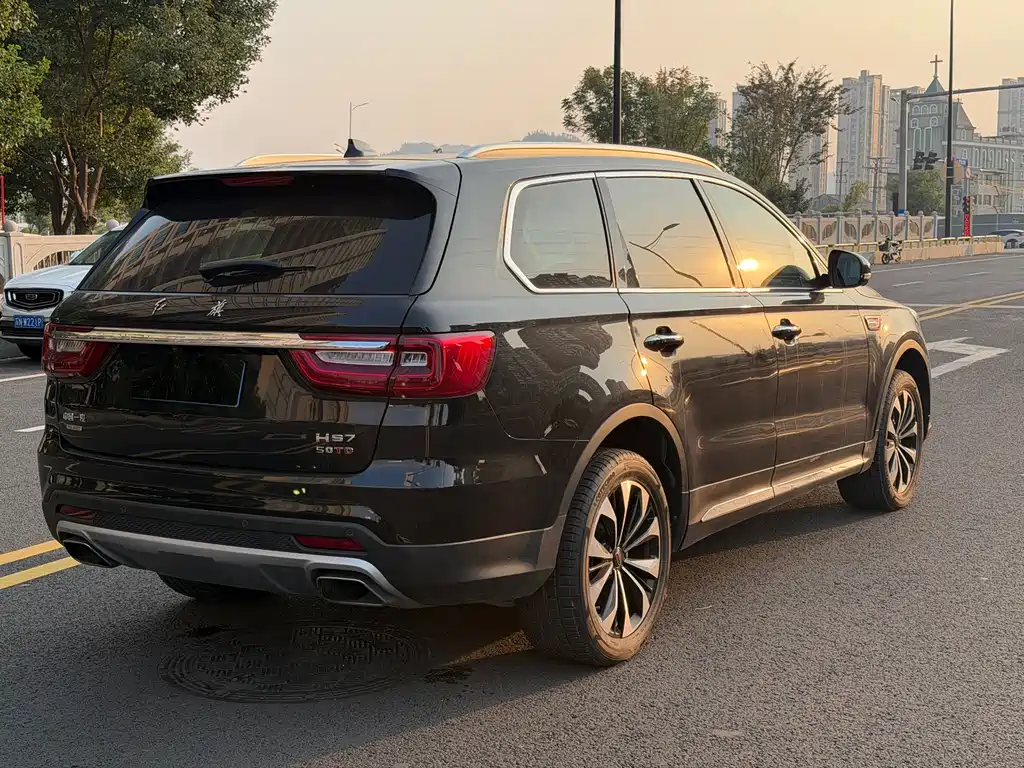 Hongqi Hongqi HS7 — миниатюра 19