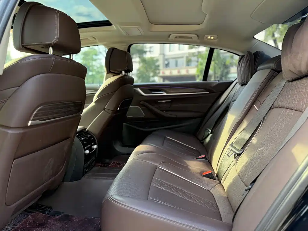 BMW 5 Series 5 2022 530Li Premium Luxury
