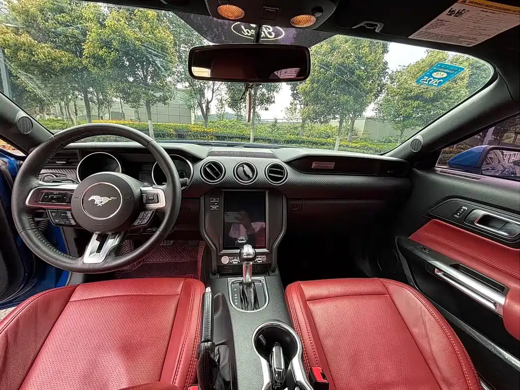 Ford Mustang — миниатюра 10