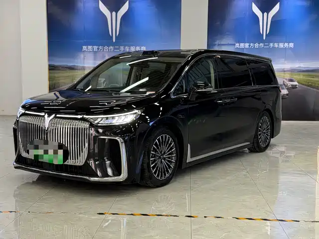 2025 Voyah Dream