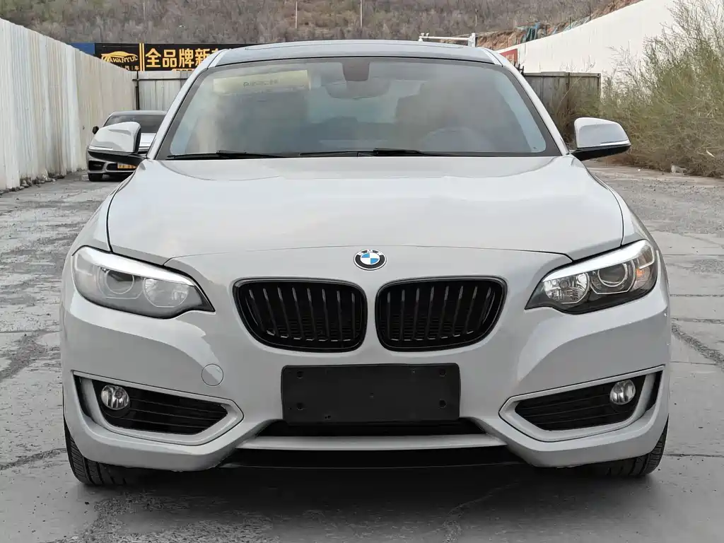 BMW 2 Series 2 2015 218i