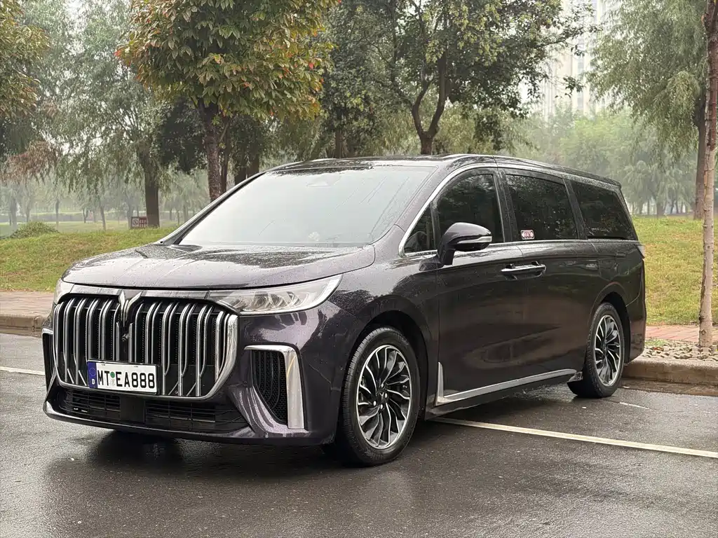 Voyah 2024 PHEV Flagship
