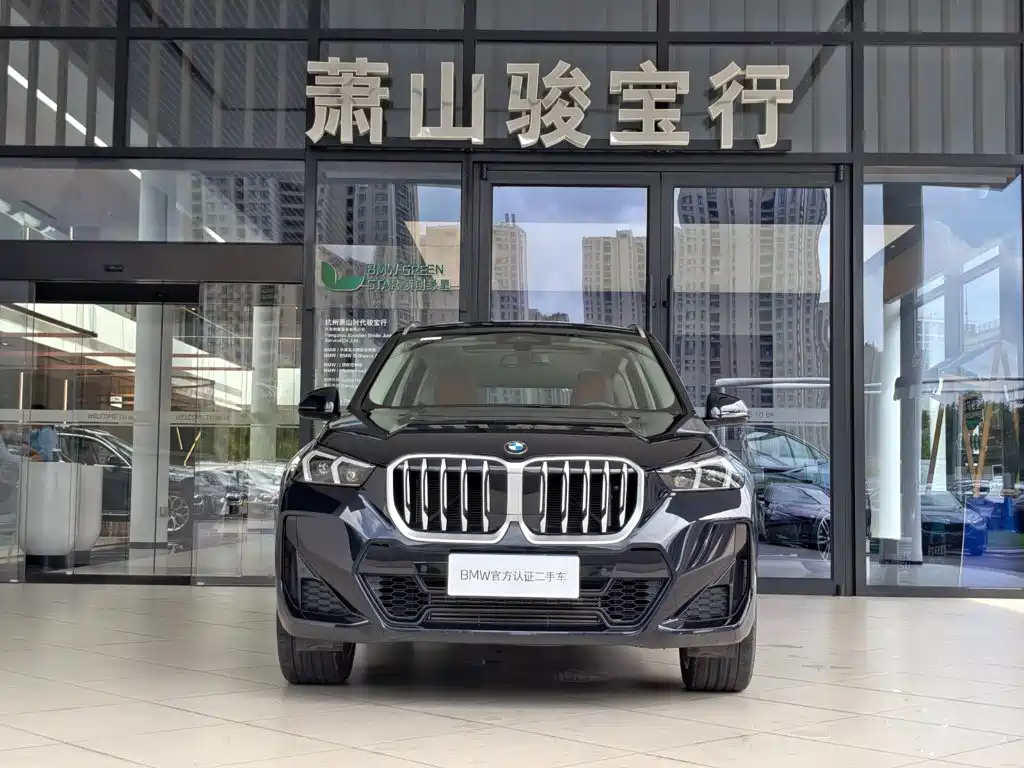 BMW X1 — миниатюра 2