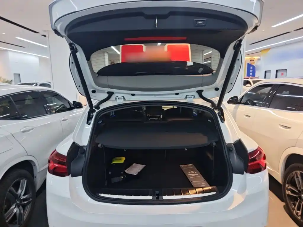 BMW X2 — миниатюра 19