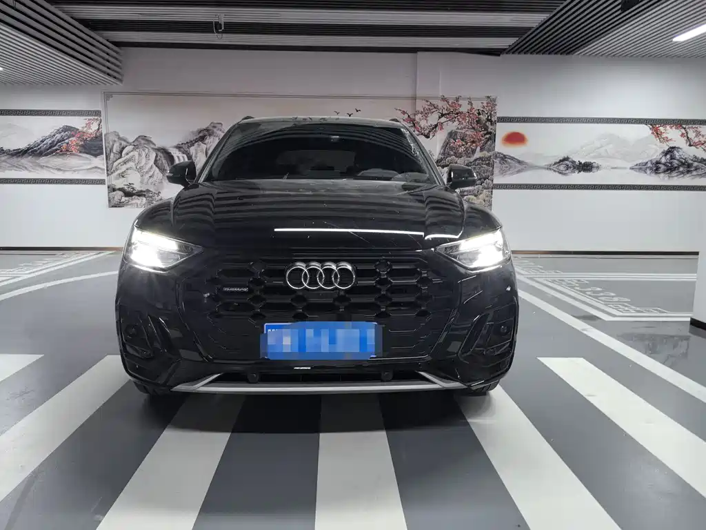 Audi Q5L 2024 45 TFSI Luxury