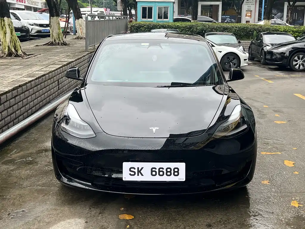 Tesla Model 3 2021 3D1