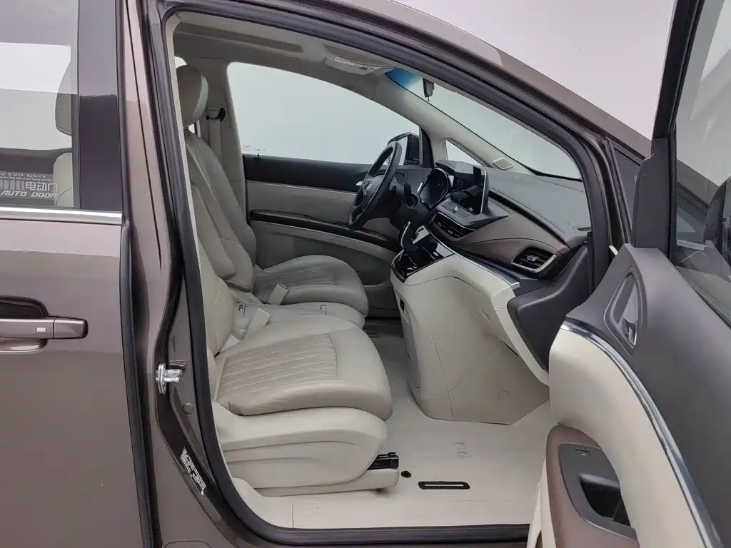 Buick GL8 — миниатюра 23