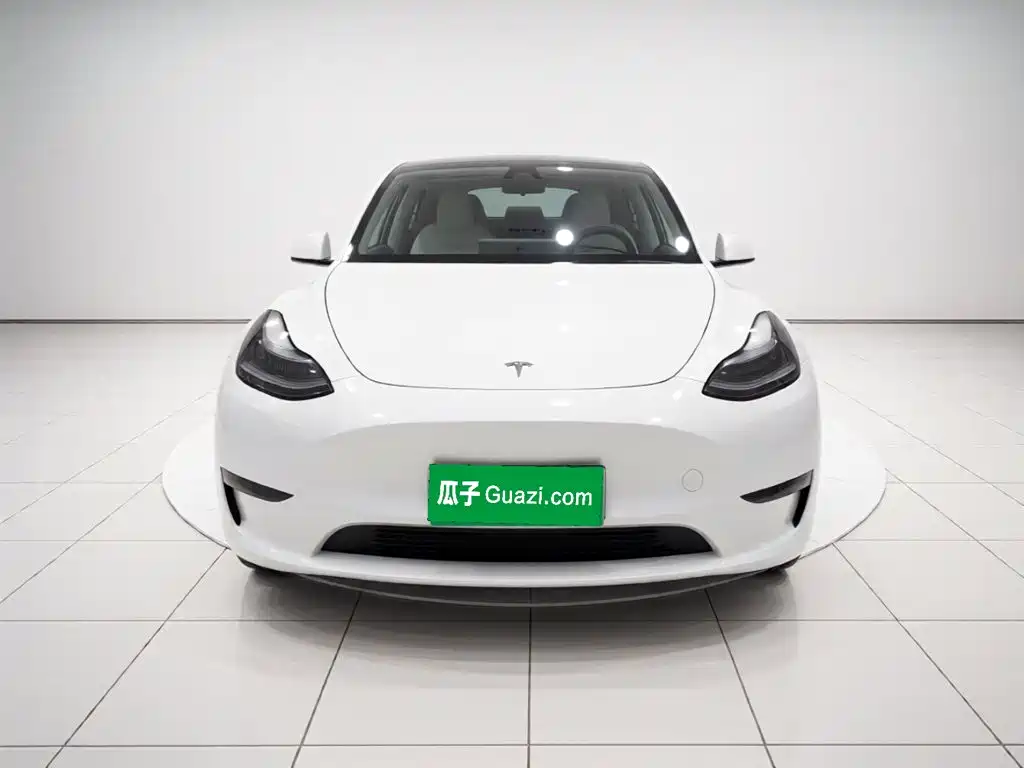 Tesla Model Y — миниатюра 2