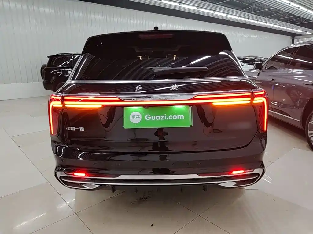 Hongqi Hongqi E-HS9 — миниатюра 6