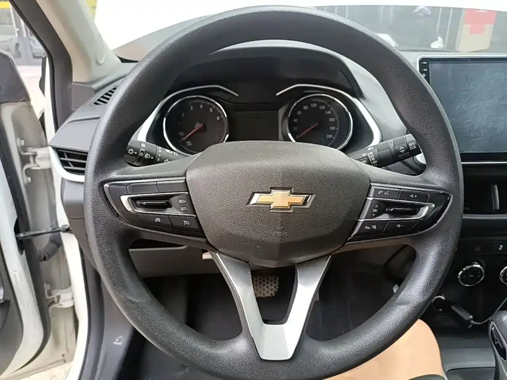 Chevrolet Cavalier — миниатюра 11