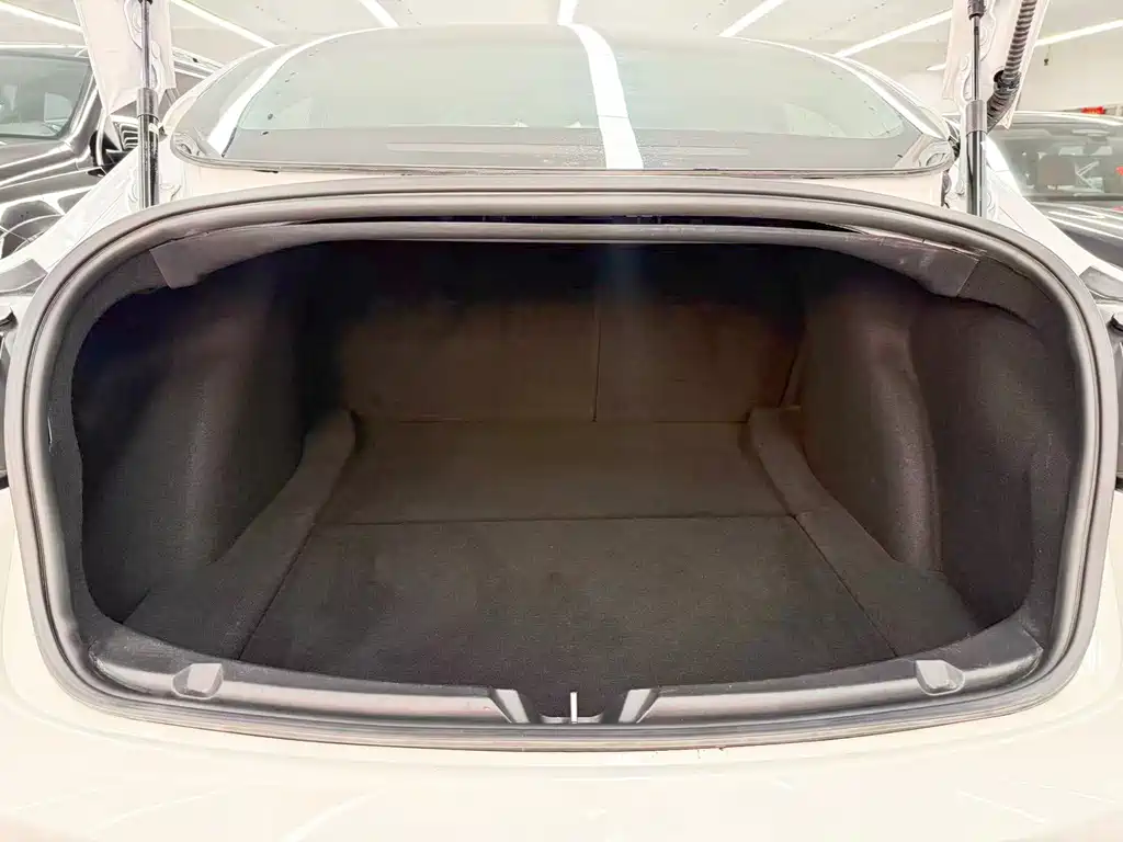 Tesla Model 3 — миниатюра 18