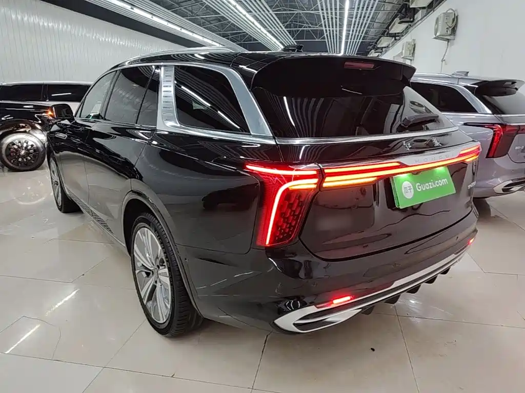 Hongqi Hongqi E-HS9 — миниатюра 5