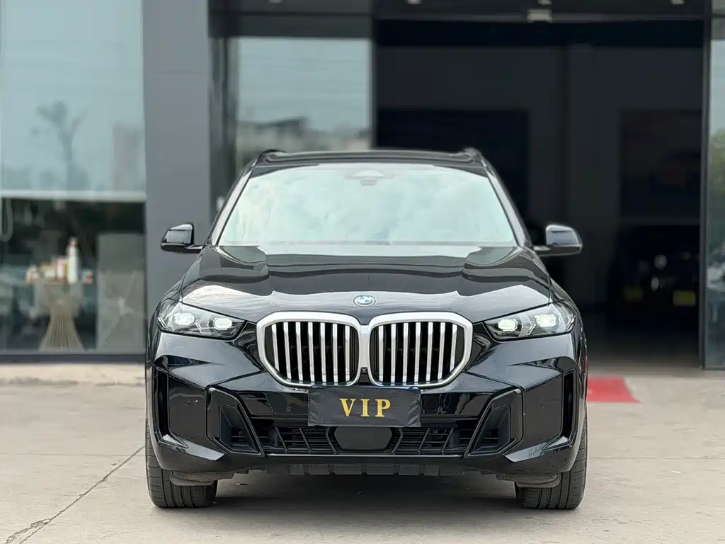 BMW X5 — миниатюра 2