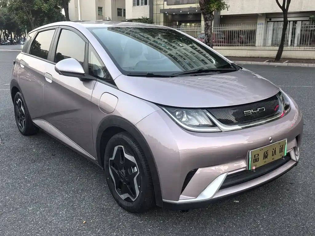 BYD Dolphin — миниатюра 2