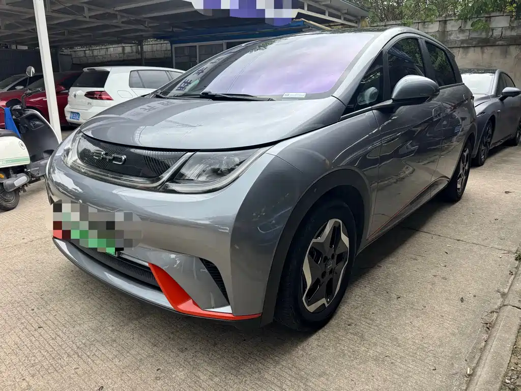 BYD Dolphin