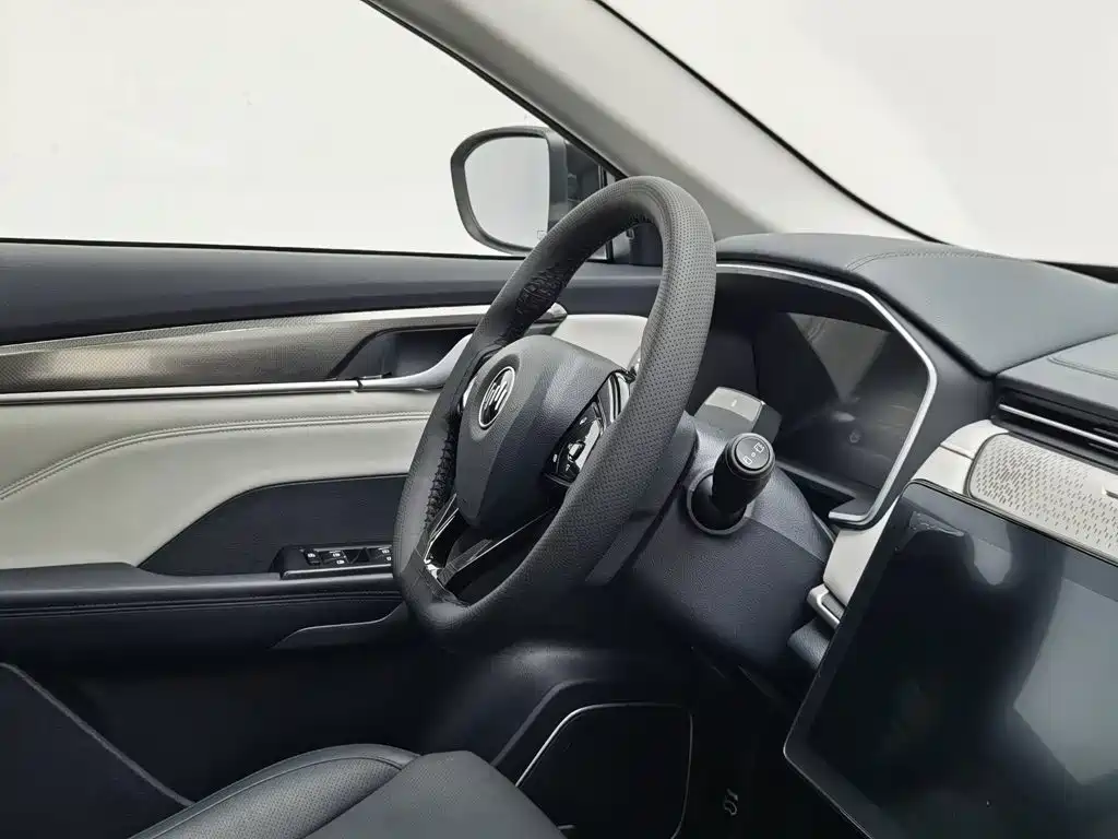 WM Motor EX5 — миниатюра 22