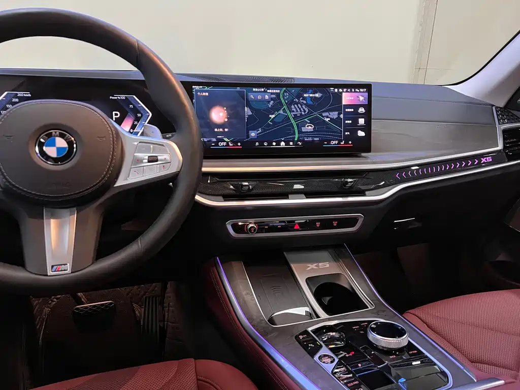 BMW X5 — миниатюра 10