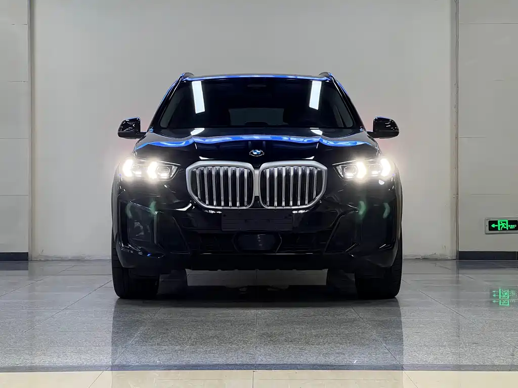 BMW X5 — миниатюра 2
