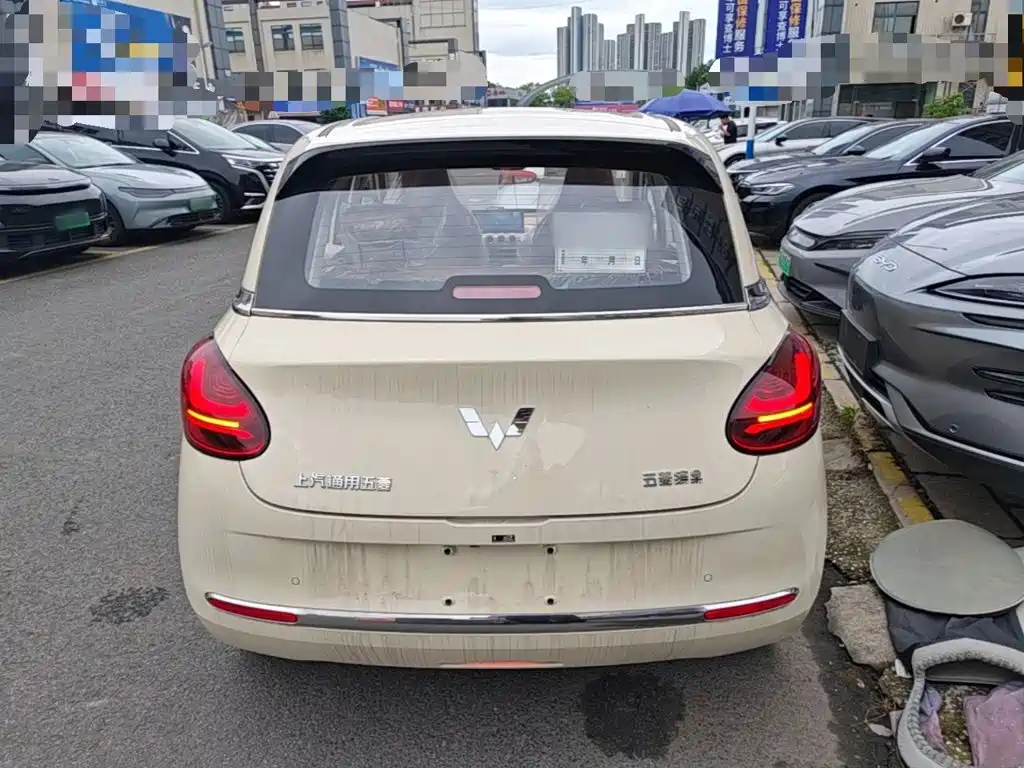 Wuling Binguo 2025 333km Enjoy