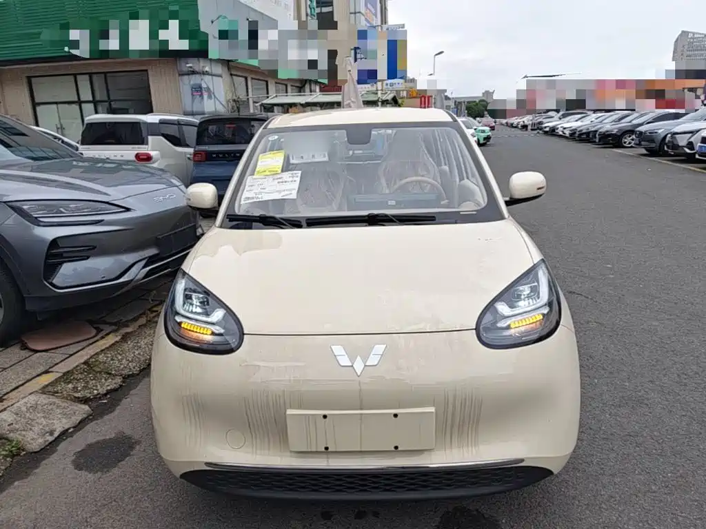 Wuling Binguo 2025 333km Enjoy