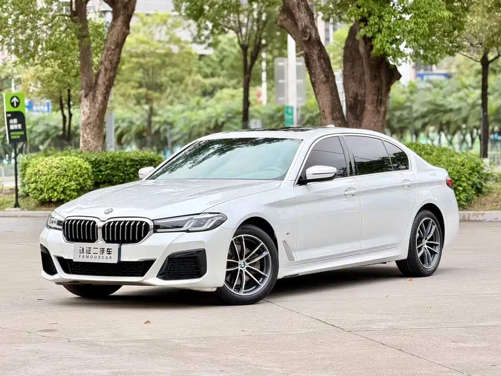 BMW 5 Series 2021