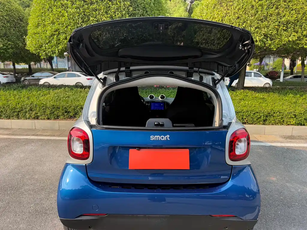 smart Smart Fortwo — миниатюра 9