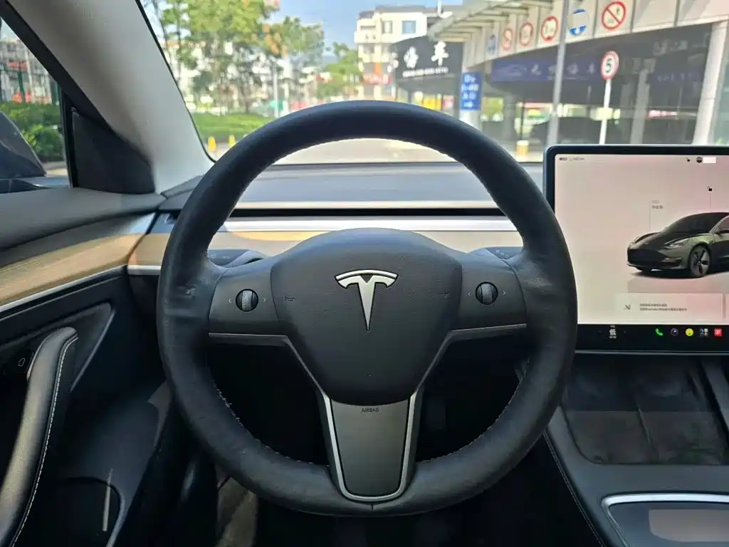 Tesla Model 3 — миниатюра 9