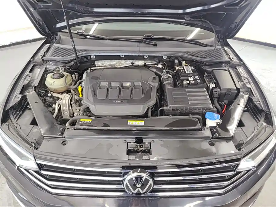 Volkswagen Magotan 2020 330TSI DSG Luxury