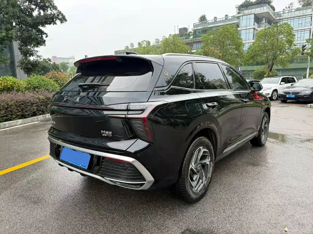 Hongqi Hongqi HS3 — миниатюра 4