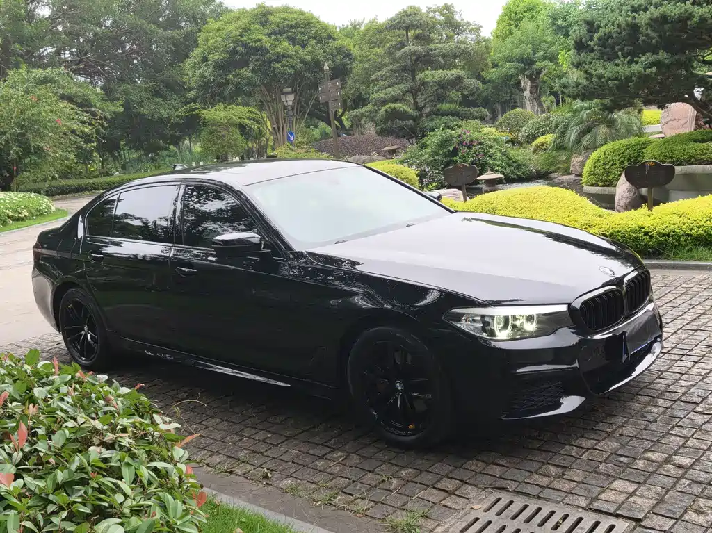 BMW 5 Series 2020