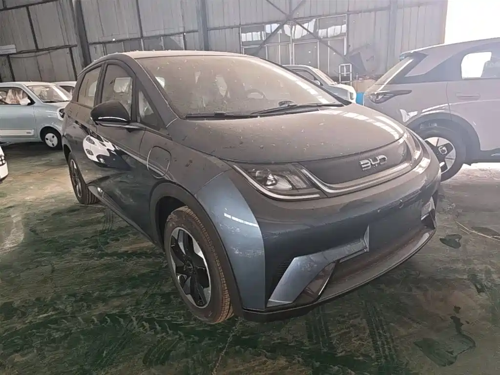 BYD Dolphin 2025 420km Freedom
