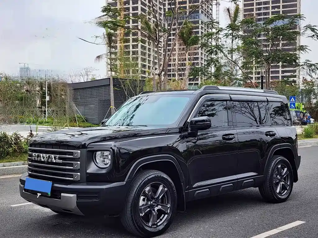 Haval Menglong New Energy 2024