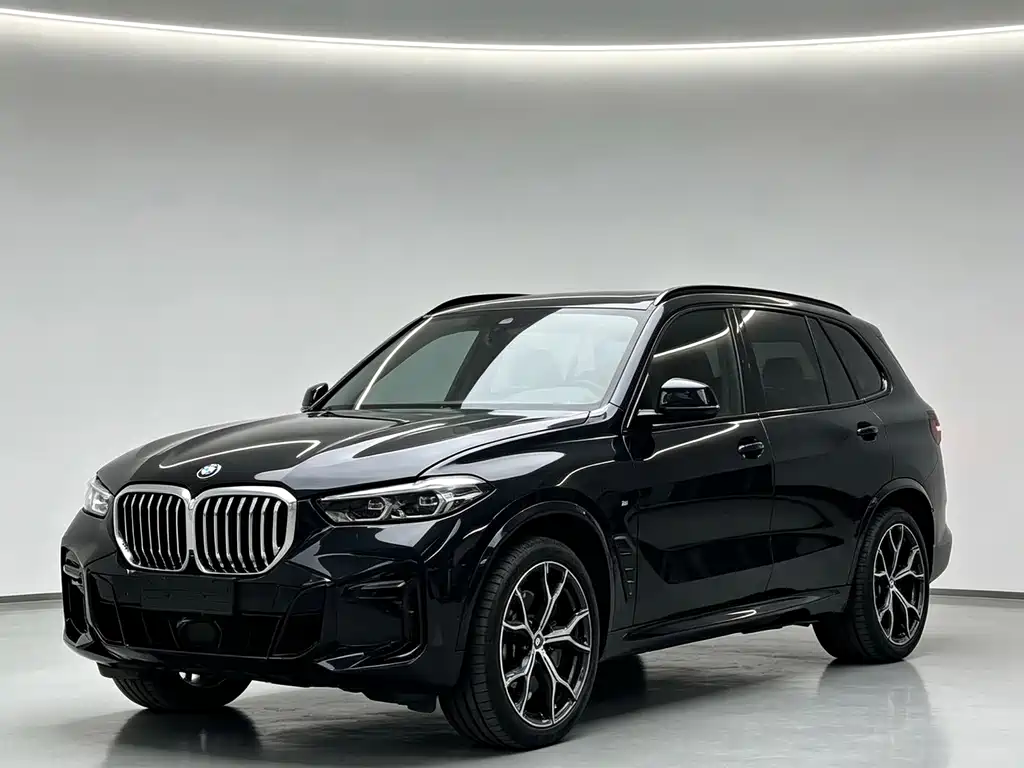 BMW X5 — миниатюра 2