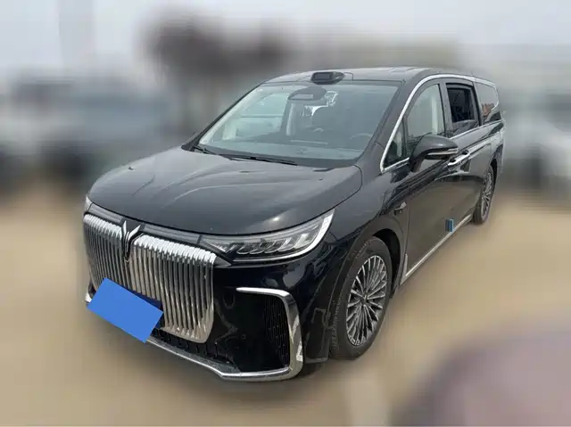 2025 Voyah Dream