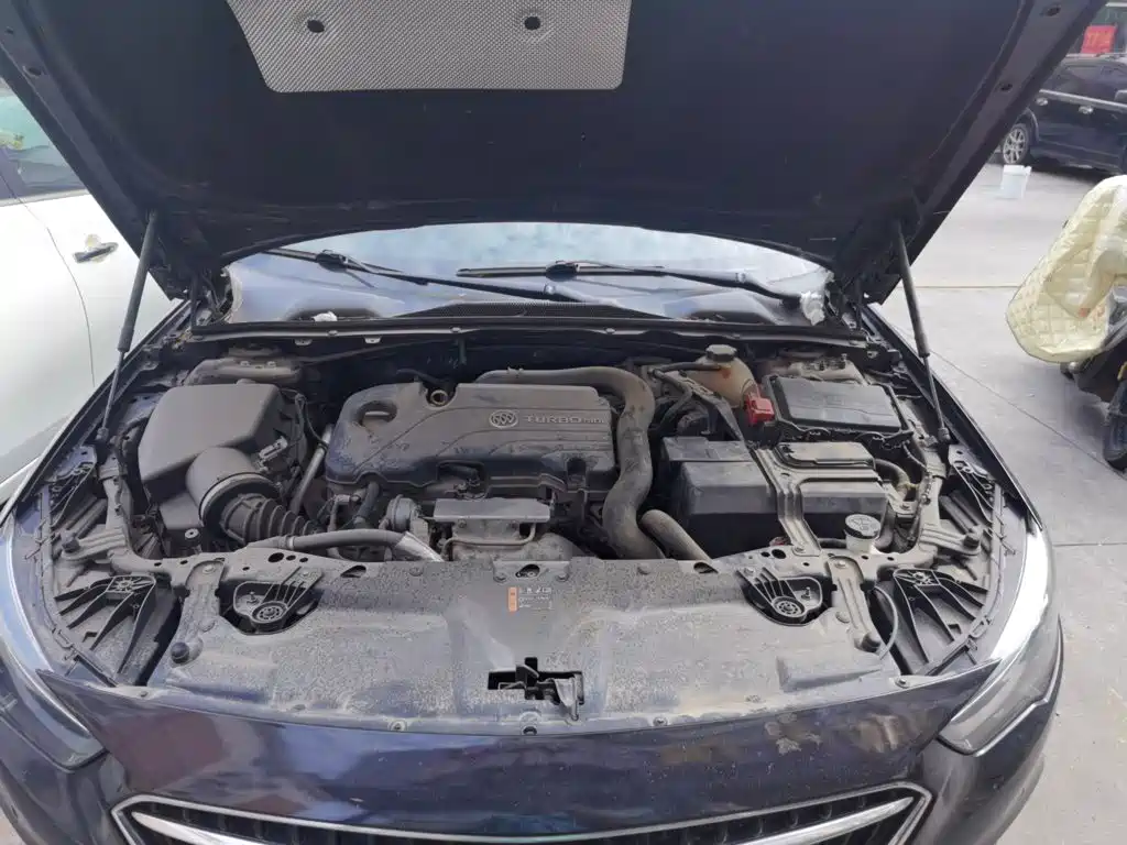 Buick Regal — миниатюра 21