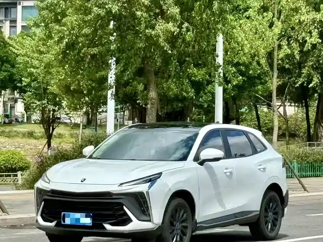 DONGFENG POPULAR T5 EVO 2024