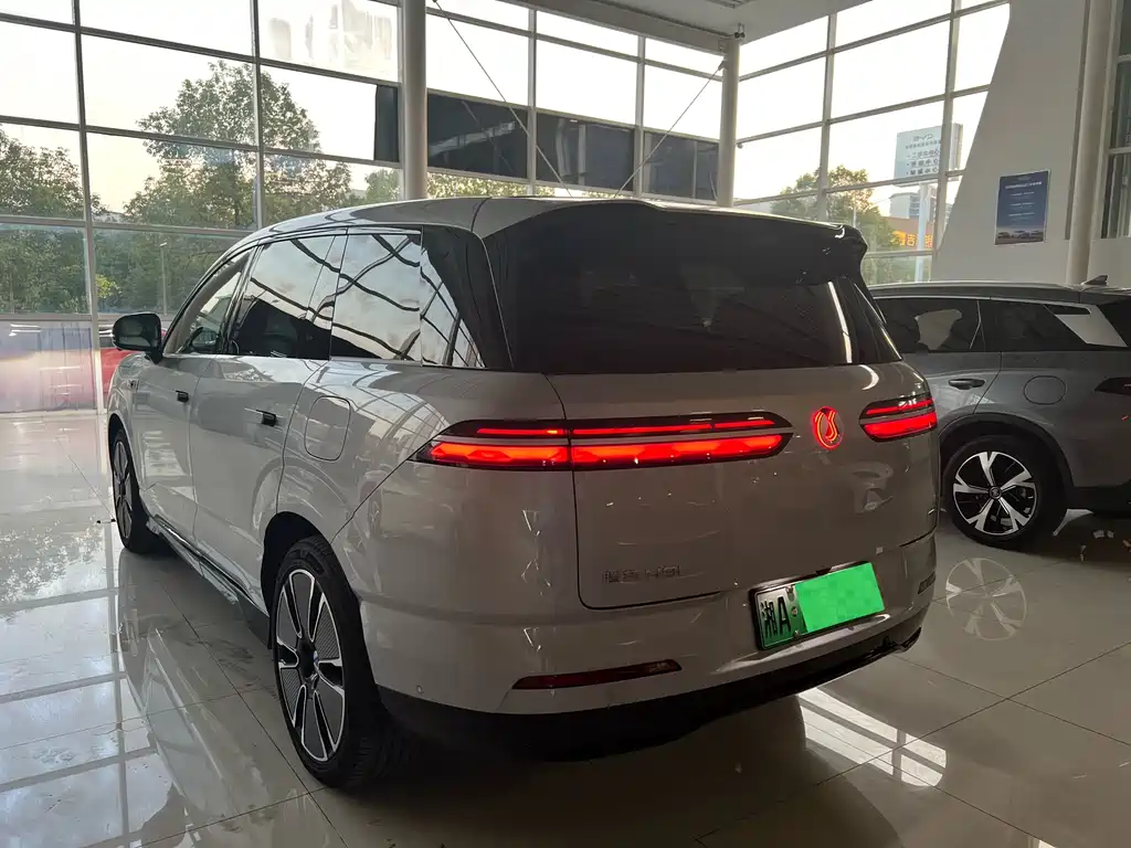 Denza Denza N8L — миниатюра 7