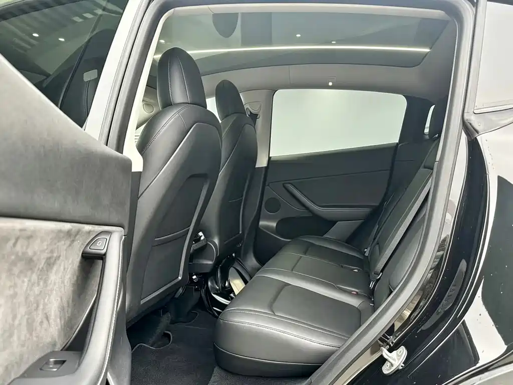 Tesla Model Y — миниатюра 6