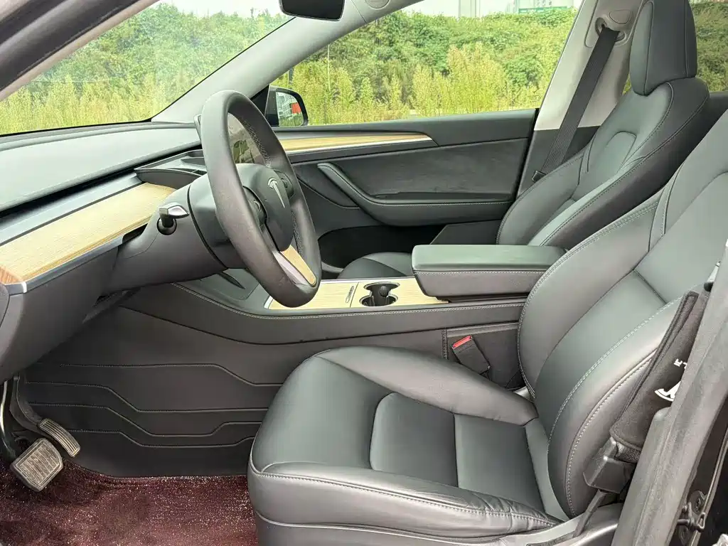 Tesla Model Y — миниатюра 4