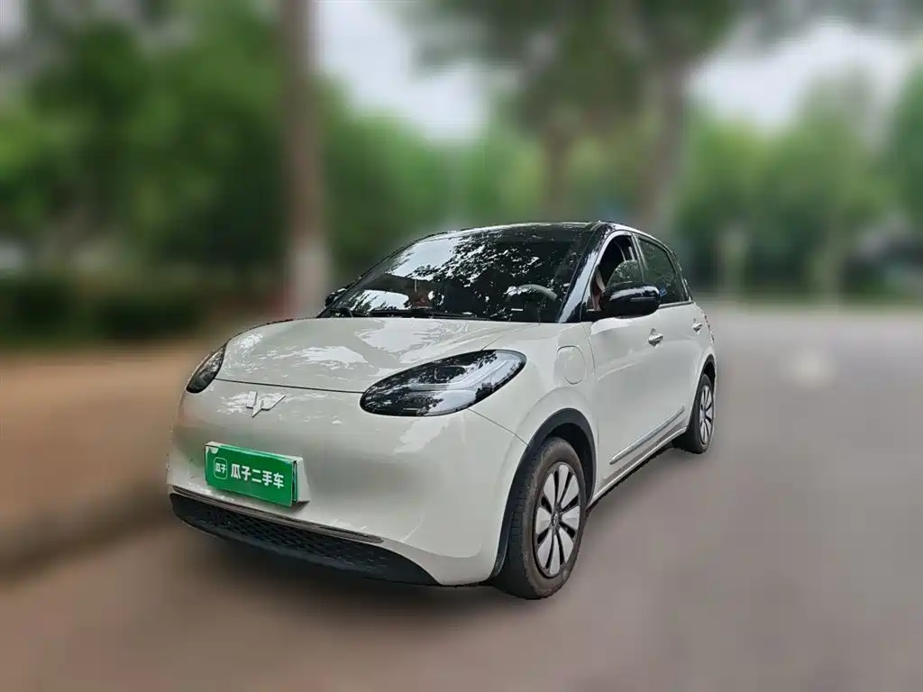Wuling Binguo
