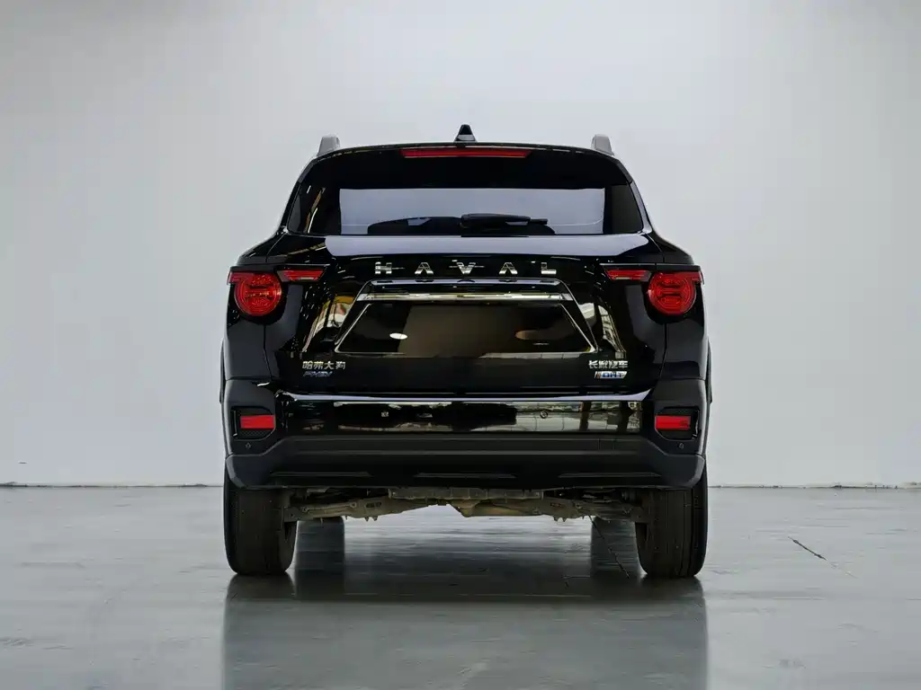 Haval Big Dog PLUS New Energy — миниатюра 11